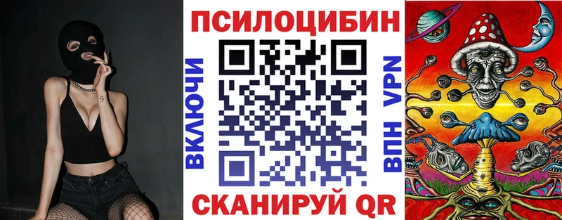 купить наркотики сайты  Стерлитамак  Псилоцибиновые грибы GOLDEN TEACHER 