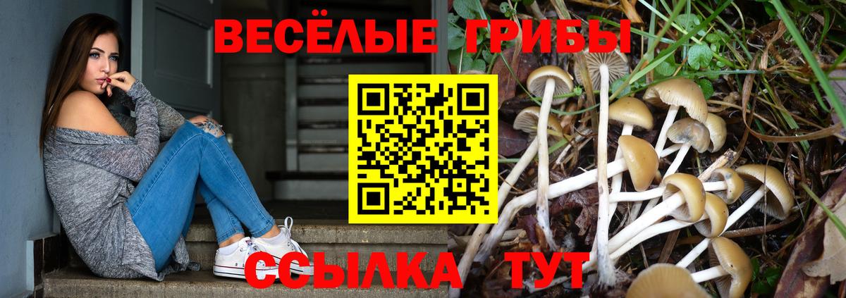 Галлюциногенные грибы ЛСД  Вход с VPN  Стерлитамак 
