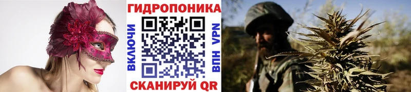 Бошки марихуана конопля  Стерлитамак 
